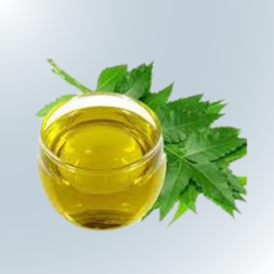 Untitled design - 2025-03-12T123725.084 Neem oil